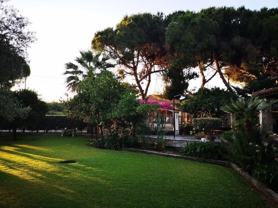 Villa Lena Entire Cottage Kalamaki  Εξωτερικό φωτογραφία