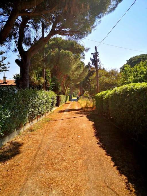 Villa Lena Entire Cottage Kalamaki  Εξωτερικό φωτογραφία